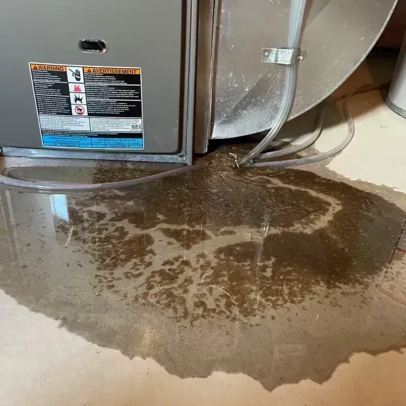 Appliance Leak Cleanup in Columbiana, AL